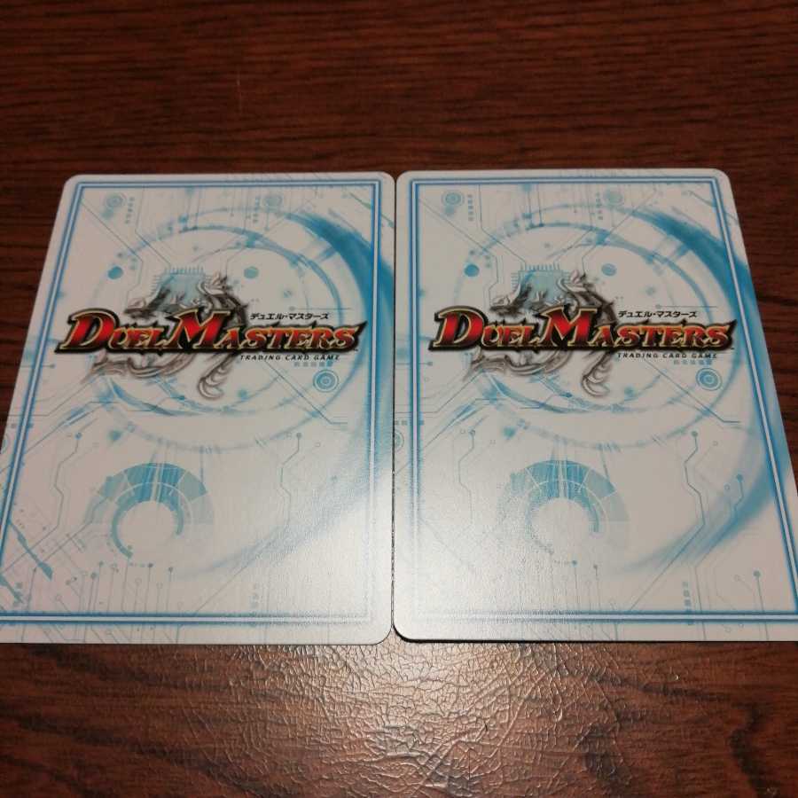 ゴッドガヨンダム2枚