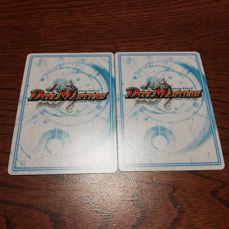 ゴッドガヨンダム2枚