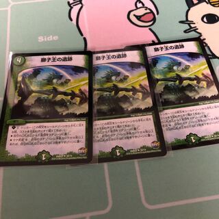 獅子王の遺跡 3枚