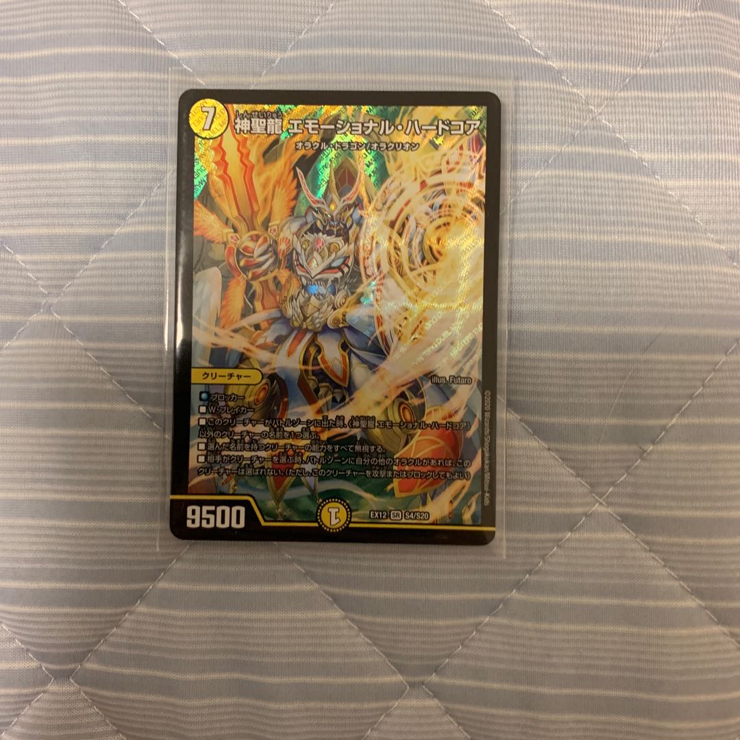 神聖龍 エモーショナル・ハードコア