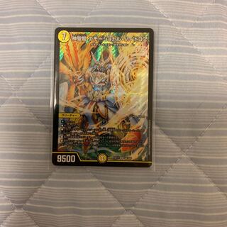 神聖龍 エモーショナル・ハードコア