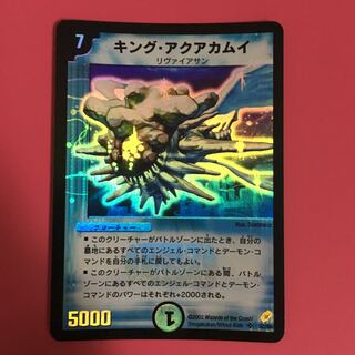 キングアクアカムイ