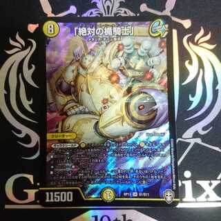 「絶対の楯騎士」