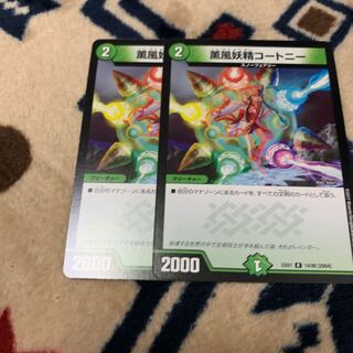 コートニー 1枚