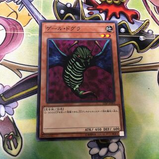 ゲール・ドグラ ノーマル