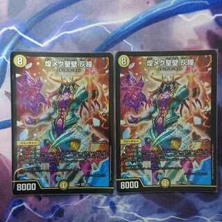 煌メク聖壁 灰瞳