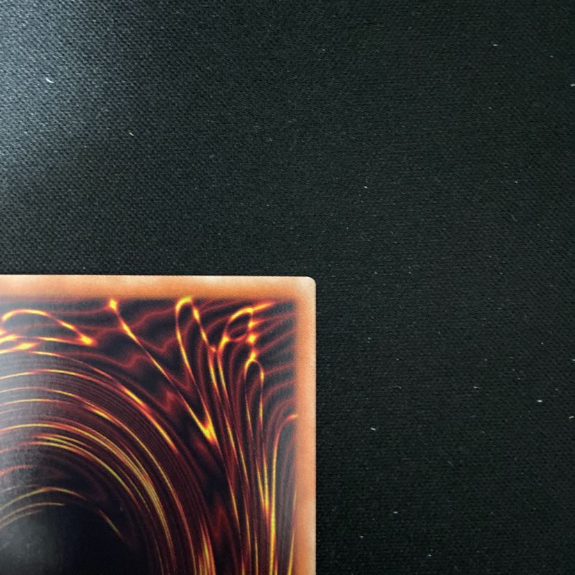 ブラックマジシャンガール　ホログラフィック