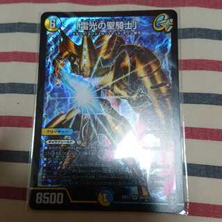 「雷光の聖騎士」