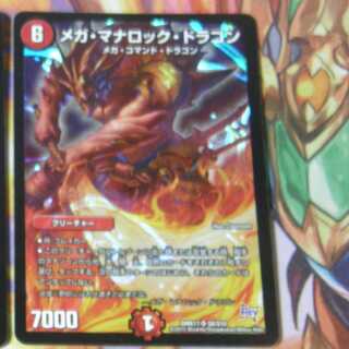 安息香酸様専用 1枚