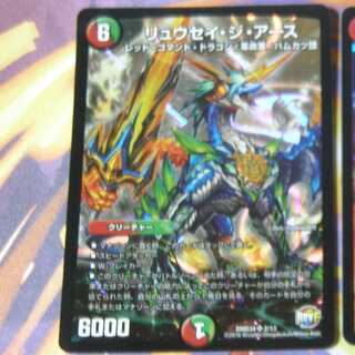 安息香酸様専用 1枚