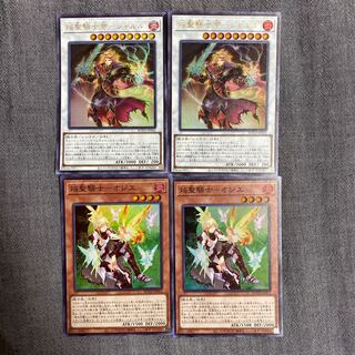 Flame Holy Knight Set