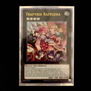 English] Traptrix Rafflesia / OP13-EN003 / Ultimate Rare