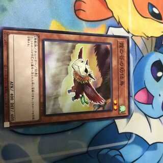霞の谷の幼怪鳥　遊戯王　20TP ミストバレー　霧の谷に幼怪鳥　ドラグニティ