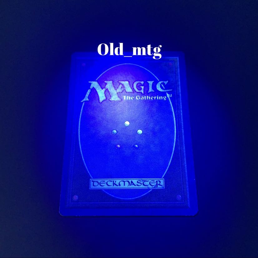 【8/31まで】blue hurricane ブルーハリケーン summer