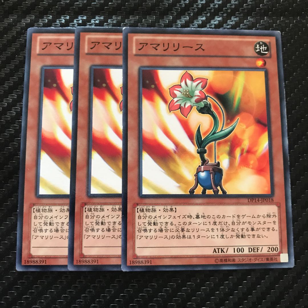 アマリリース ノーマル