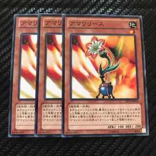 アマリリース ノーマル