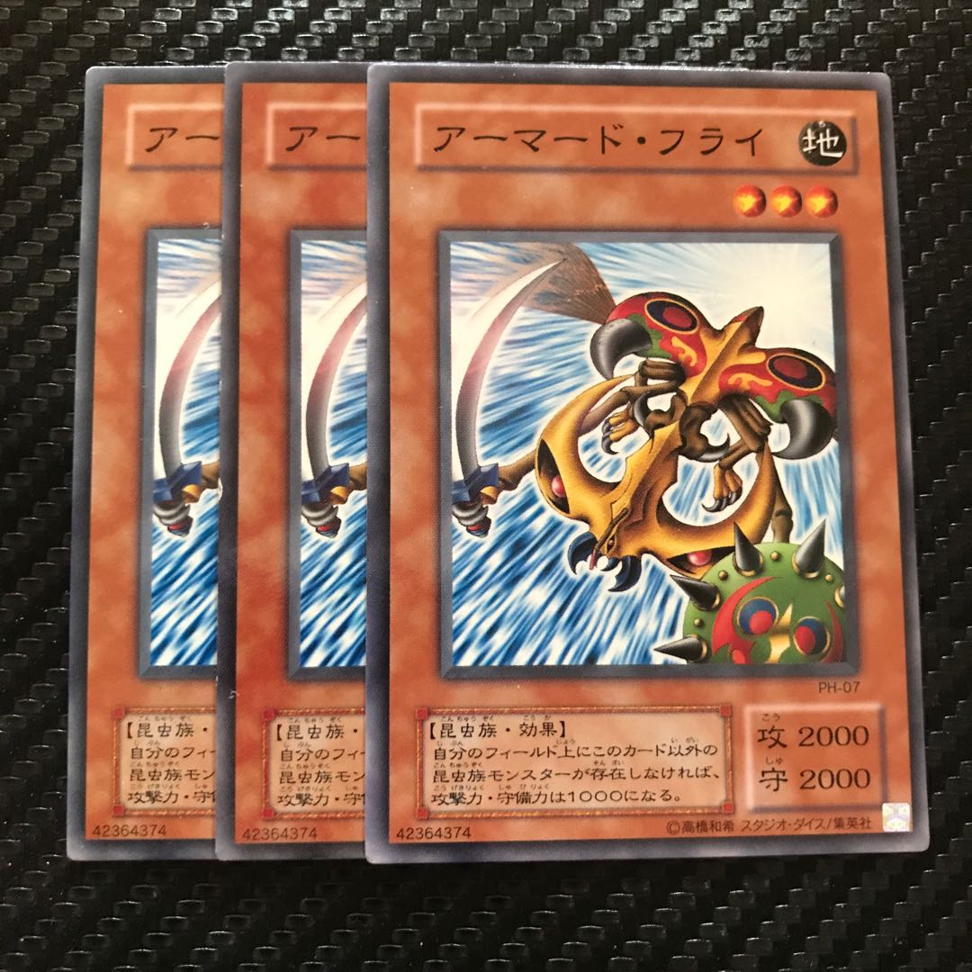 アーマード・フライ