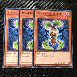 ヴェルズ・マンドラゴ ノーマル