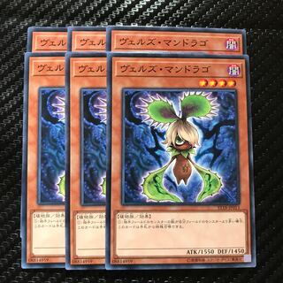 ヴェルズ・マンドラゴ ノーマル