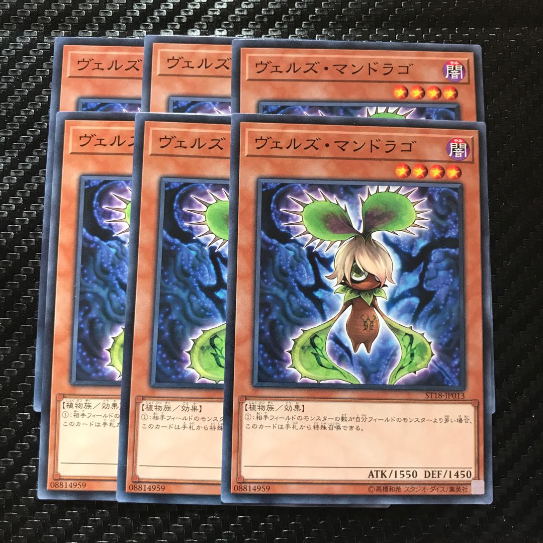 ヴェルズ・マンドラゴ ノーマル