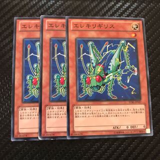 エレキリギリス ノーマル