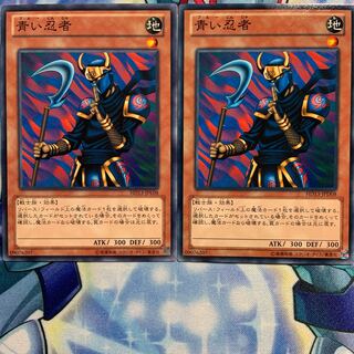 【N】青い忍者 2枚 HD13-JPD08