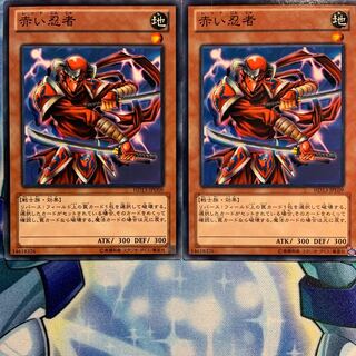 【N】赤い忍者 2枚 HD13-JPD09