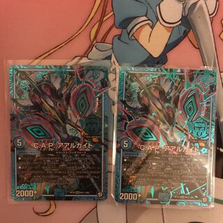 アアルカイト　シク　2枚セット