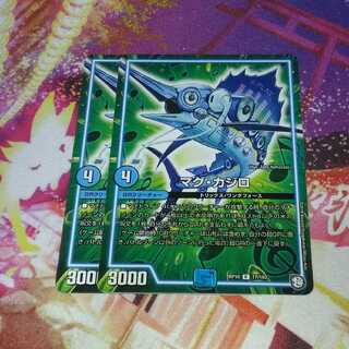 マグカジロ 1枚