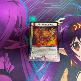 第二種 タマネギル