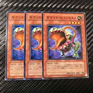 ギガント・セファロタス ノーマル