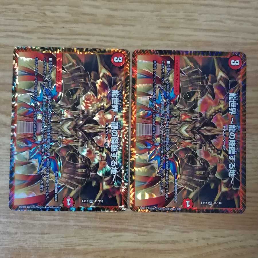 龍世界 -龍の降臨する地- 2枚