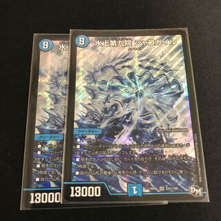 シャコガイル シク 2枚