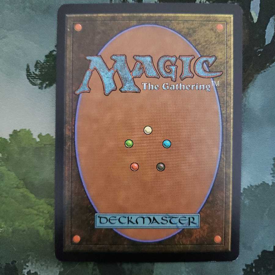 トロウケアの敷石【英語】【TSP】