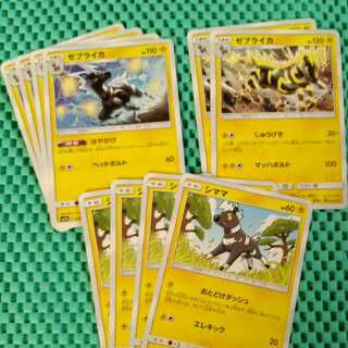 ゼブライカ, シママ