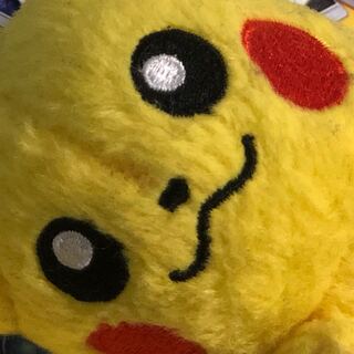 博士様 専用ページ 1枚