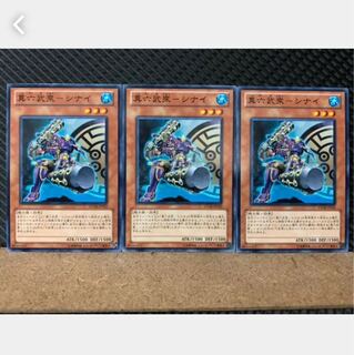 【ぽぽたん】遊戯王 4940 真六武衆-シナイ 3枚 ノーマル