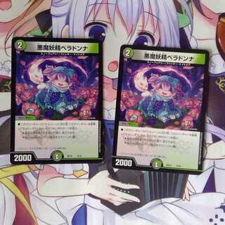 ベラドンナ 2枚