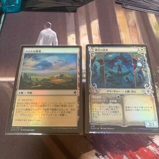 foilセット☆のどかな農場、銀炎の従者 絵違い