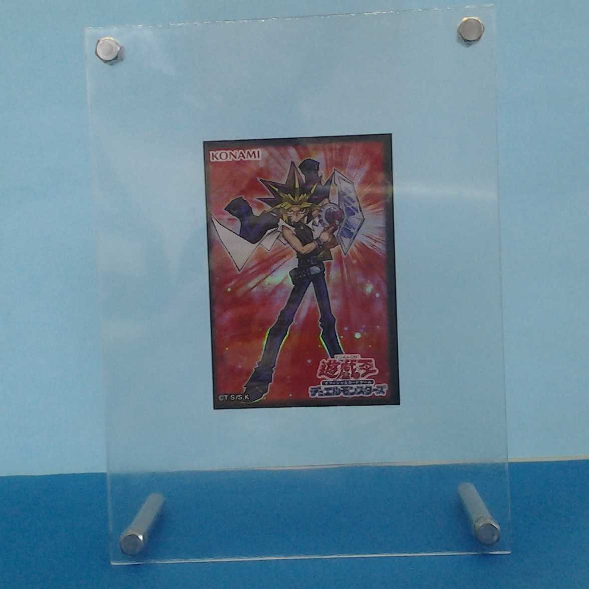 Berfomet Trekker case with photo stand