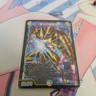 「雷光の聖騎士」