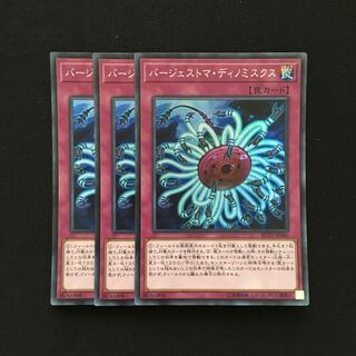 c71 バージェストマ・ディノミスクス スーパーレア 3枚 遊戯王 トレトレ