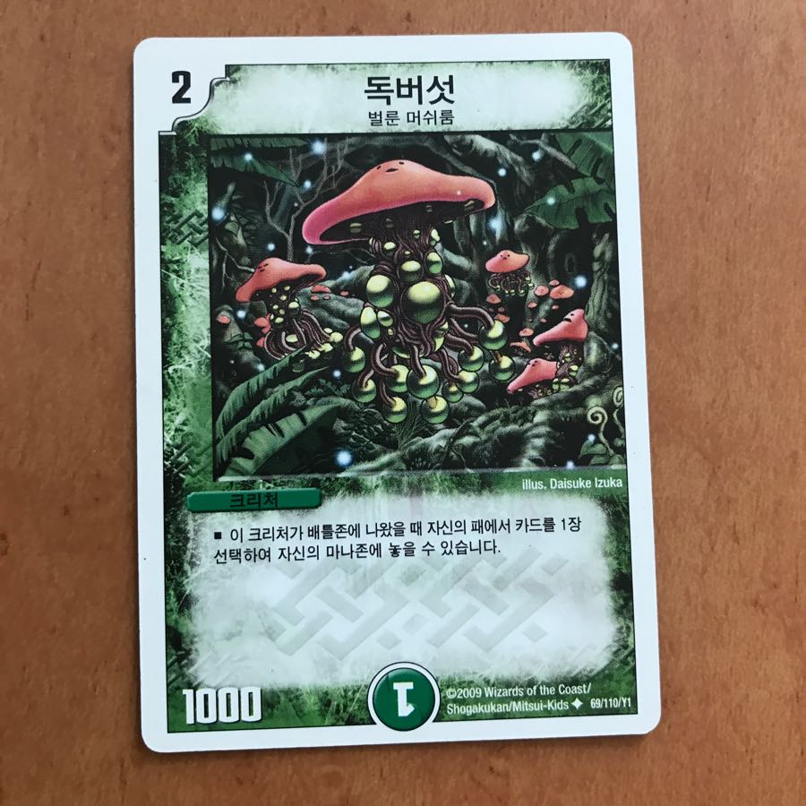 シビレアシダケ