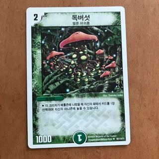 シビレアシダケ