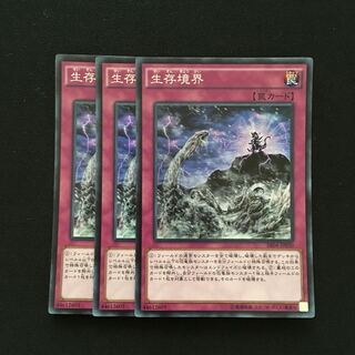 c84 生存境界 スーパーレア 3枚 遊戯王 トレトレ