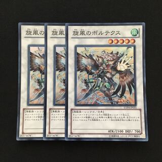 旋風のボルテクス」の激安通販 | magi 旋風のボルテクス」の激安通販 | magi