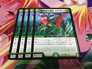 連鎖類大翼目 プテラトックス　4枚