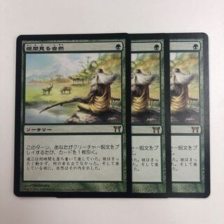 垣間見る自然 3枚