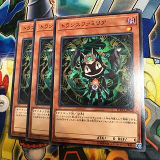 トランスファミリア　3枚