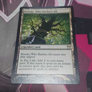 すべてを護るもの、母聖樹